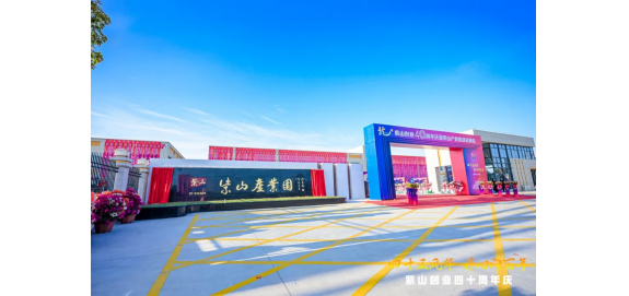 绳舞同心庆司庆，聚力腾飞启新章 | 多宝电竞41周年之团体跳绳比赛圆满收官！